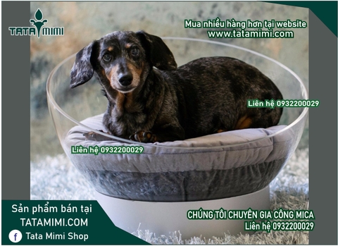 Hút nổi ứng dụng làm lồng cho thú cưng