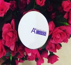 Review Troiareuke Acsen A+ Cushion