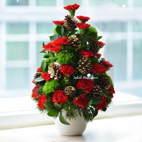 3 món quà Giáng sinh ý nghĩa nhất dành tặng trong mùa Noel