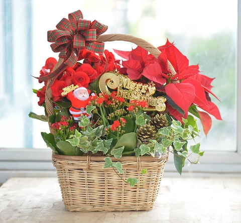 3 món quà Giáng sinh ý nghĩa nhất dành tặng trong mùa Noel