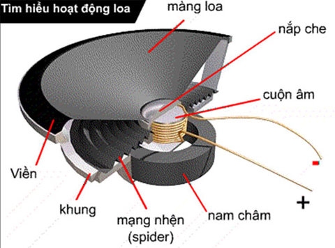 THUẬT NGỮ AUDIO PHỔ BIẾN TRÊN LOA