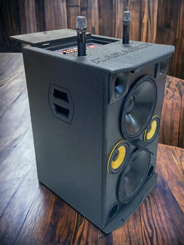 Loa kéo bình ADX-212b 3 tấc đôi công suất lớn, 800w, 2 Micro UHF, Micro chống hú cao cấp