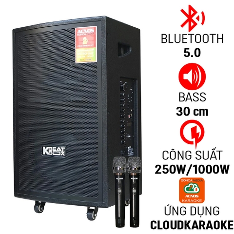 Loa kéo di động Acnos CB31 Bass 30cm
