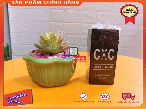 Bình ăcquy 4v-4ah chất lượng cho loa kéo, cân điện tử