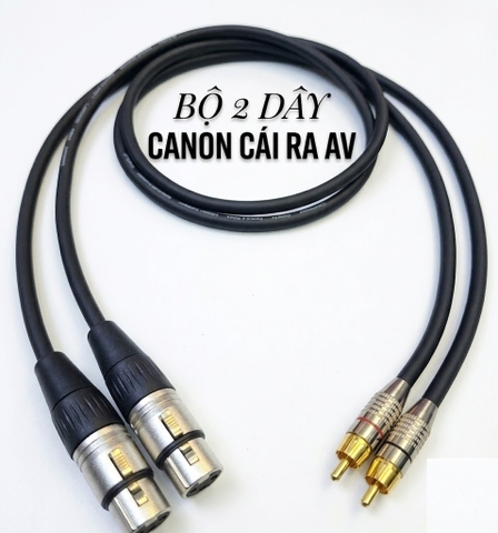 Dây tín hiệu Canon AV - Cái (XLR Female) ra AV (RCA) - 1M