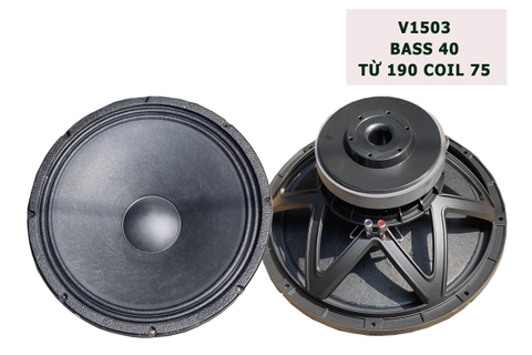 Loa Bass Rời 40 4 Tấc Từ 190 Coil 75, V1503
