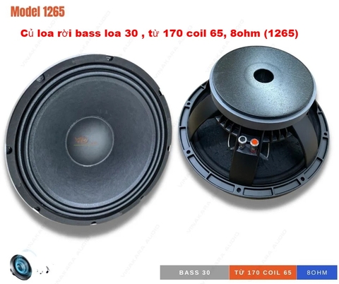 Củ loa rời bass loa 30 , từ 170 coil 65, 8ohm (1265)