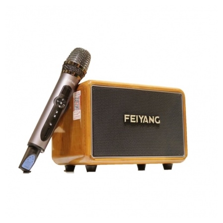 Loa karaoke mini FEIYANG QX06-02, kèm 01 micro
