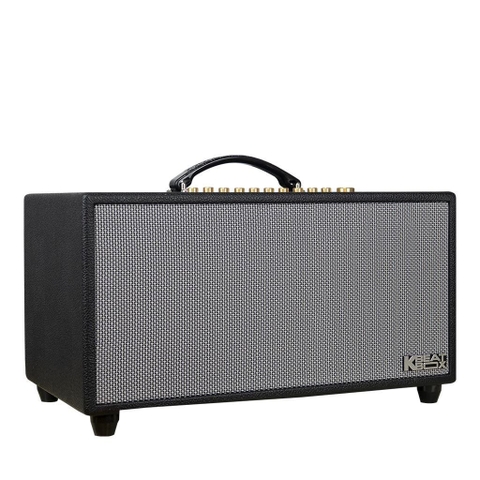 Loa kéo di động Acnos Hi450, Bass 16cm, Công suất 200w