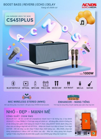 LOA ACNOS CS451PLUS, BASS 20CM, CÔNG SUẤT 250W