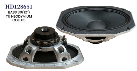 Loa bass rời 30 từ neo coil 65,HD128651