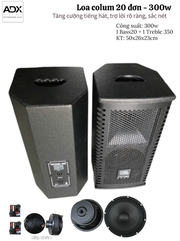 Loa Full 20 đơn ADX L20F, 300W trợ lời karaoke