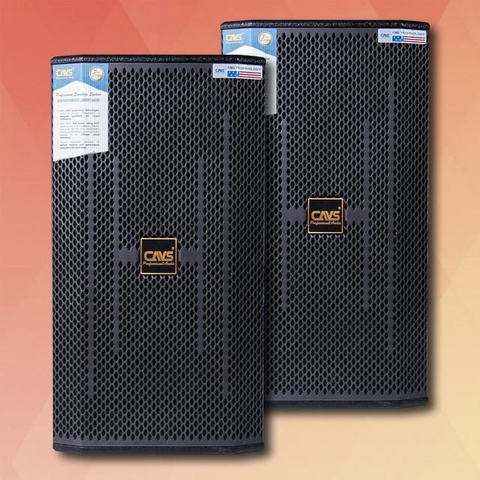 LOA FULL CAVS XB10, BASS 25
