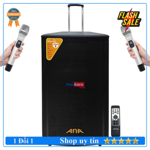 Loa Kéo Di Động ANA W400 (4 tấc gỗ - 1000W)