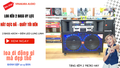 Loa kéo điện 40 đôi ADX PRO 8205 công suất lớn (4 món)