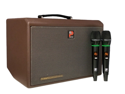 Loa kéo xách tay Prosing DSP-236X (NEW 2024, Bass 20cm, Bluetooth 5.0)