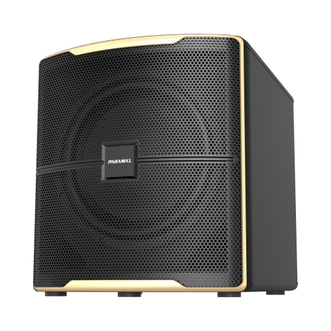Loa sub Paramax Z-Sub (bass 30cm)