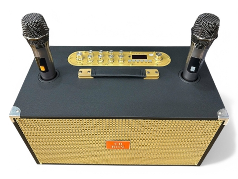 Loa xách tay VBBOX VB8888 (2 bass 20cm), 300w, 2 Micro