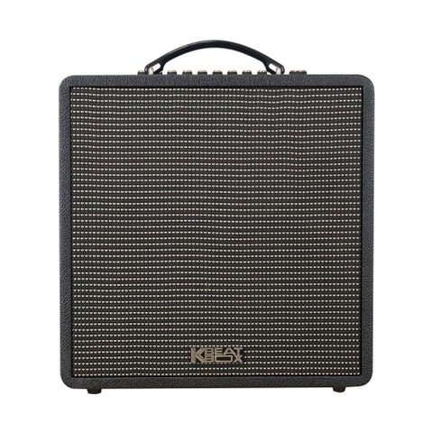 Loa kéo di động Acnos QUAD 64 2 BASS 16CM, Kèm 2 micro
