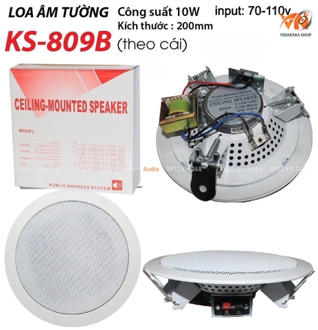 Loa âm trần KS 809B