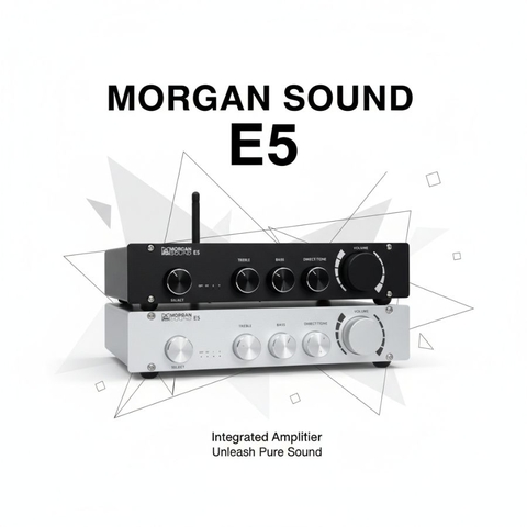 Bộ Nâng Tiếng MORGAN SOUND E5