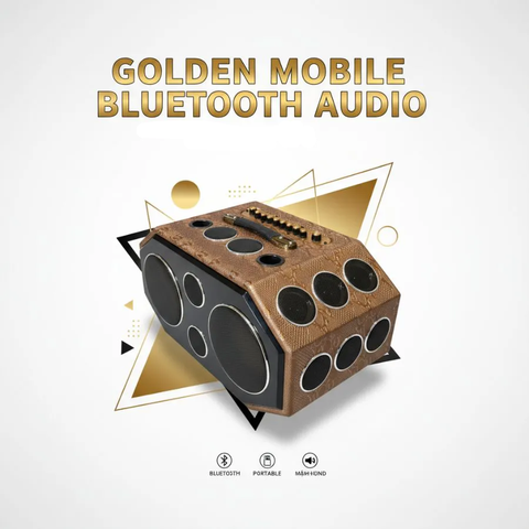 Loa karaoke di động Soundbox BG18, 2 Bass 20 công suất 500w