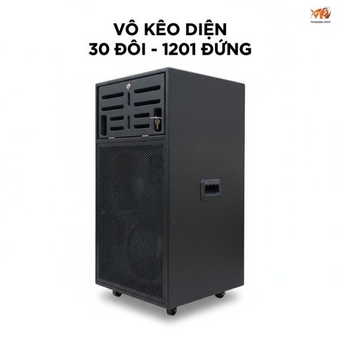 Vỏ loa kéo điện 30 đôi - 3 tấc đôi kiểu đứng, VLKD-302 KT 52x45x98cm