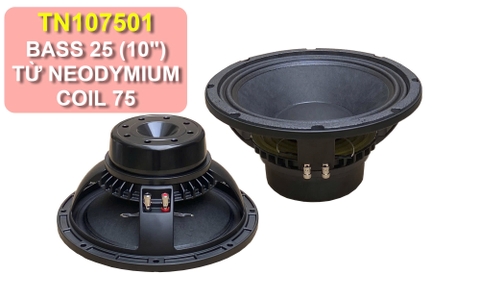 Loa bass rời 25 2,5 tấc từ neo coil 76, 300w