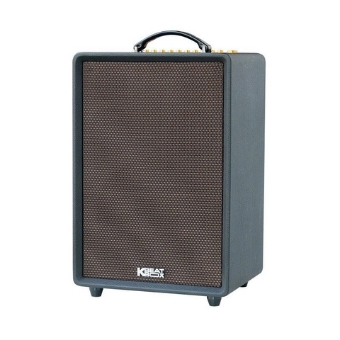 Loa kéo di động Acnos High Fidelity Pro, Bass 25cm