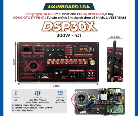 Mạch bo loa kéo DSP30X 300W, nguồn xuyến, KT 19X38cm