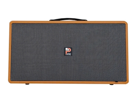 Loa kéo xách tay Prosing PS-28 2 Bass 20cm