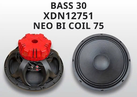 Loa bass rời 30 Neo Bi Coil 75, XDN12751