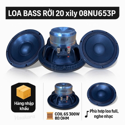 Loa Bass Rời 20 xily , 2 tấc từ neo khối coil 65 (08NU653P), 300w