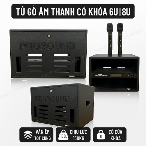 Tủ gỗ đựng thiết bị âm thanh có khóa 6U và 8U