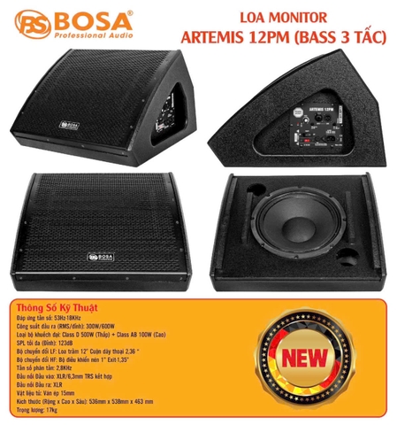 Loa Monitor Liền Công Suất BOSA ARTEMIS 12PM (Bass 30cm)
