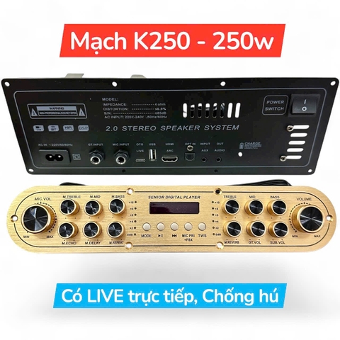 Mạch loa kéo K250 công suất 250W, Cổng Live,Chống hú, Quạt làm mát