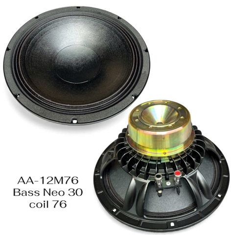 Loa bass rời 30 từ neo coil 76, AA-12M76