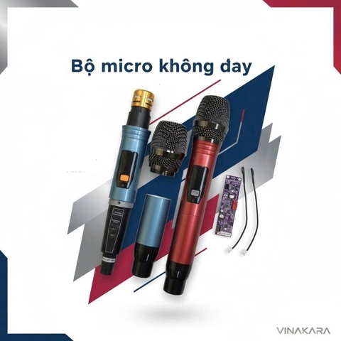Micro kèm Board mạch cho loa kéo, ADX T22