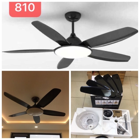 Quạt Trần Đèn 810 ( Đen)