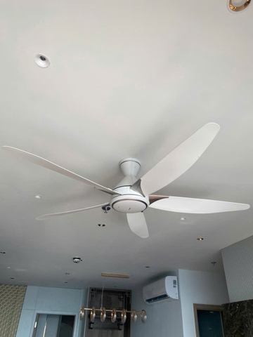 Quạt trần 5 Cánh Panasonic F-60GDS-W