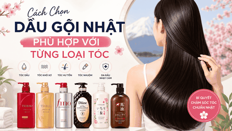 Cách Chọn Dầu Gội Nhật Phù Hợp Với Từng Loại Tóc