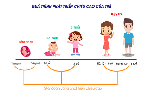 Những Cách Tăng Chiều Cao Cho Trẻ Tốt Nhất