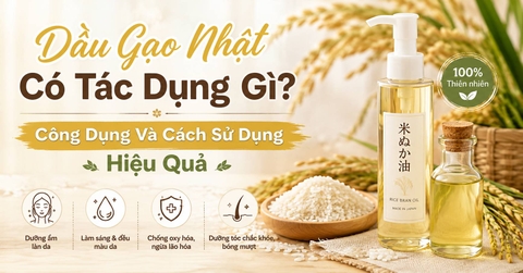 Dầu Gạo Nhật Có Tác Dụng Gì? Công Dụng Và Cách Sử Dụng Hiệu Quả