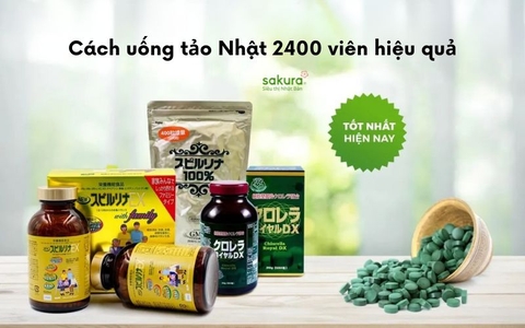 Cách uống tảo Nhật 2400 viên hiệu quả