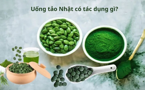 Uống tảo Nhật có tác dụng gì? Các loại tảo tốt cho sức khỏe