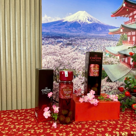 Rượu mơ Choya Extra Shiso 17% chai 700ml - Hàng Nhật nội địa