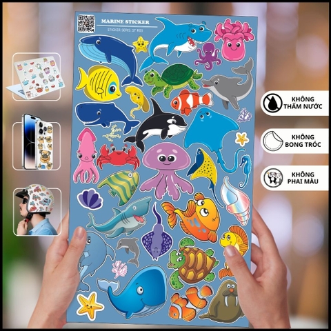 Hình dán sticker Marine ST R03 sinh vật biển đẹp chất liệu vinyl phủ lớp chống thấm xước bay màu phù hợp dán mọi bề mặt