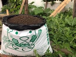 Khám phá những công dụng tuyệt vời của phân gà đối với cây trồng