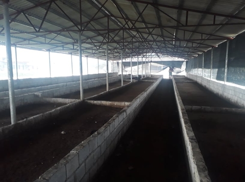 Bảng Giá Phân Giun Quế, Bảng Giá Phân trùn quế năm 2025