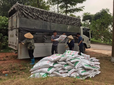 Hướng dẫn cách bón phân trùn quế cực đơn giản và hiệu quả - SenAgri.vn